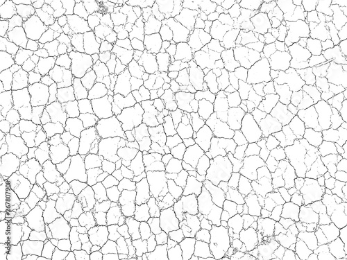 The cracks texture white and black. Vector background.Cracked earth. Structure of cracking. Cracks in dry surface soil texture. shards