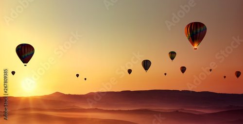 hot-air-balloons at dawn over misty countryside