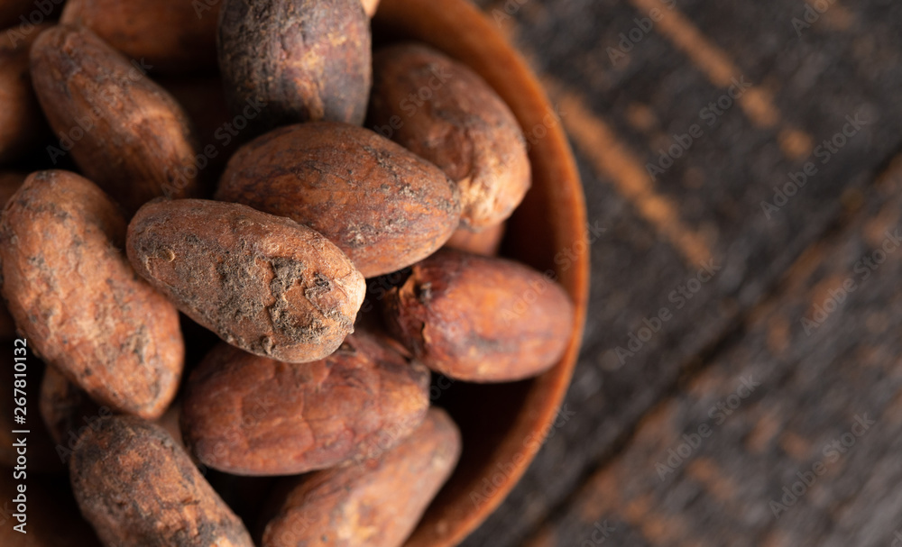 Bowl of Cocoa Beans on a Dark Wooden Table Bowl of Cocoa Beans on a Dark Wooden Table