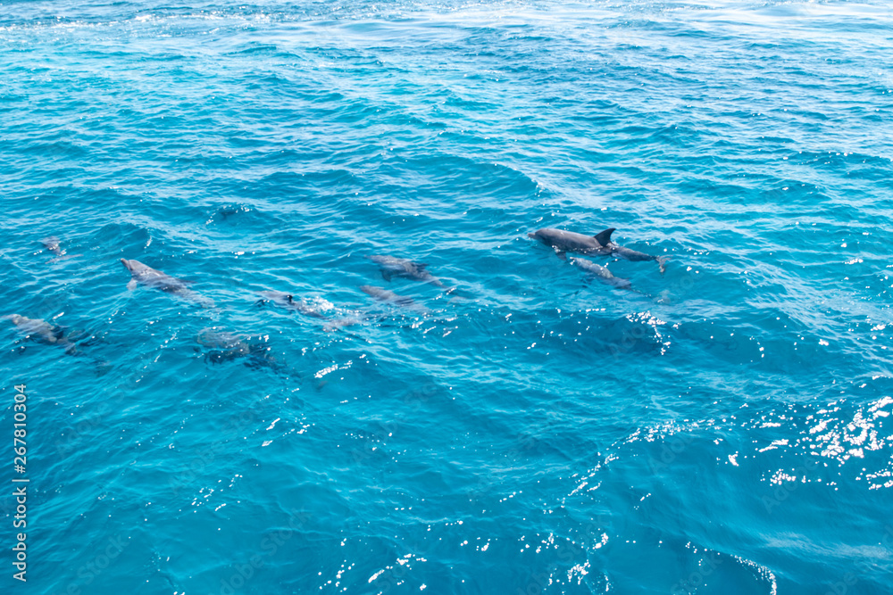 Naklejka premium Hurghada Egypt