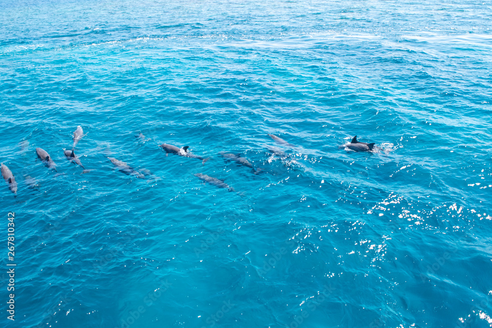 Obraz premium Hurghada Egypt