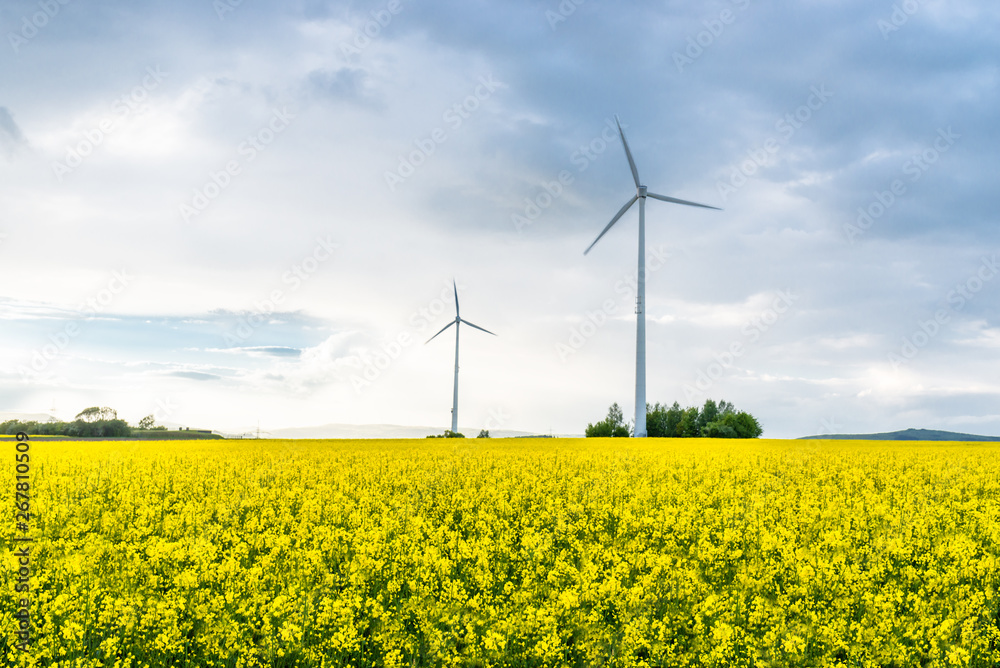 Two windmills standing on a rape field on a cloudy, windy day in western Germany. Two windmills standing on a rape field on a cloudy, windy day in western Germany.