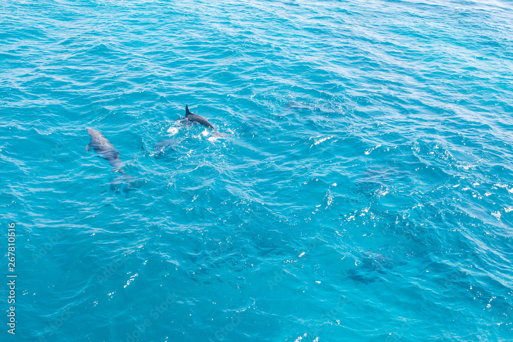 Obraz premium Hurghada Egypt