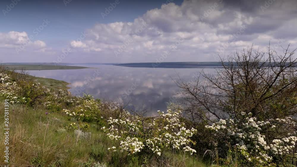 Spring is the season of flowering plants. Most plants bloom in May. Odessa oblast (Ukraine). Spring is the season of flowering plants. Most plants bloom in May. Odessa oblast (Ukraine).