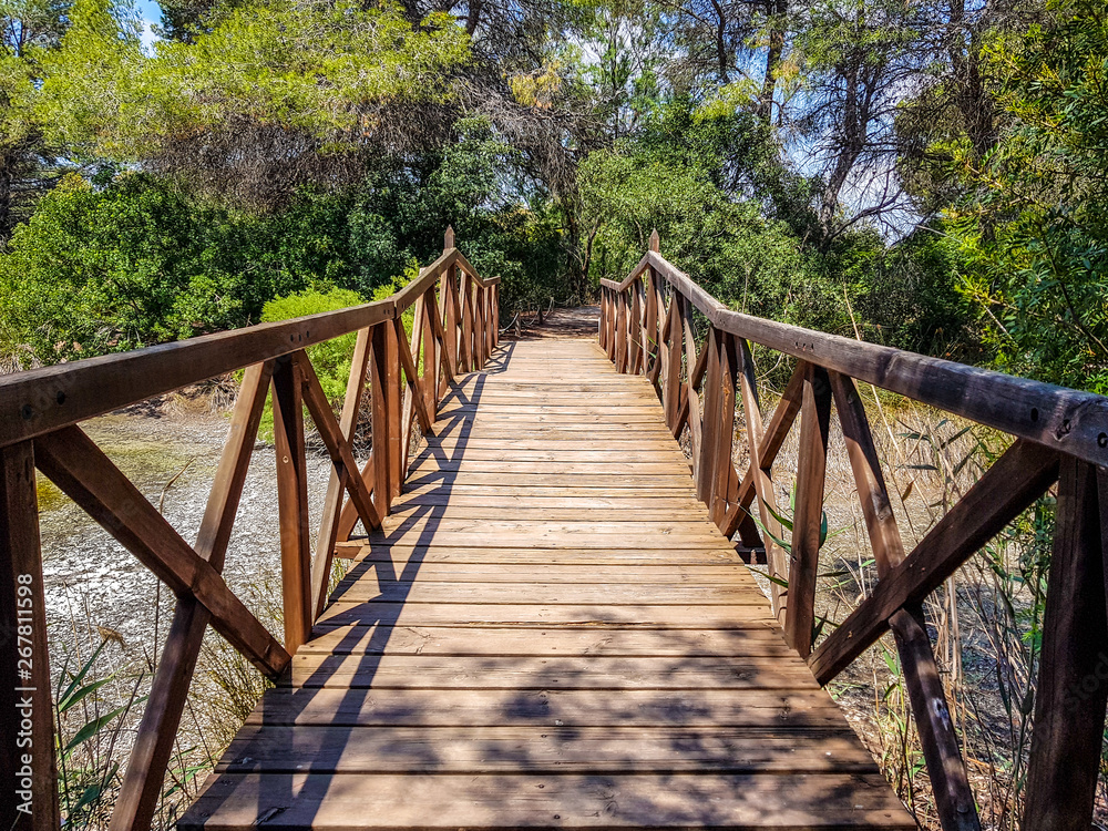 Bridge built with logs in the interpretation center of the Albufera de Valencia and the lagoon that can be visited next to the path between nature