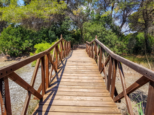 Bridge built with logs in the interpretation center of the Albufera de Valencia and the lagoon that can be visited next to the path between nature