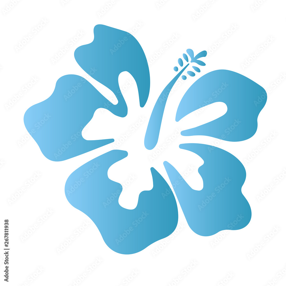 Summer hibiscus beautiful flower vector illustration Summer hibiscus beautiful flower vector illustration