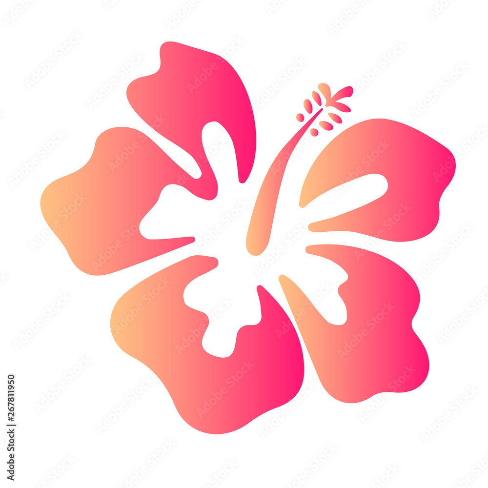 Summer hibiscus beautiful flower vector illustration Summer hibiscus beautiful flower vector illustration