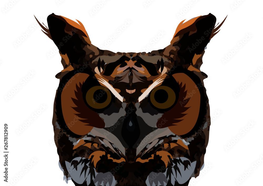 Hibou owl