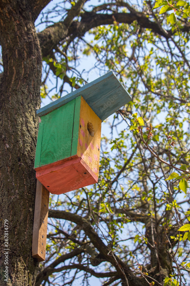 Colorful wooden birdhouse on tree. Design of nesting box. Bird shelter in spring forest. Handmade bird house. Wooden firds feeder in garden. Colorful wooden birdhouse on tree. Design of nesting box. Bird shelter in spring forest. Handmade bird house. Wooden firds feeder in garden.