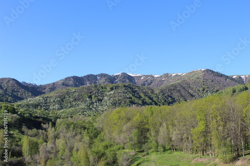 mountain top in snow