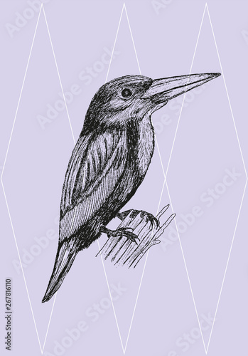 Imprimir