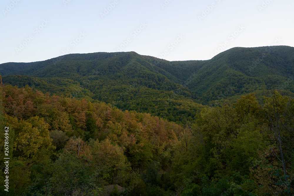 Big mountain covered with trees against the blue sky. Beautiful mountain in the vicinity of Geledzhik, Russia