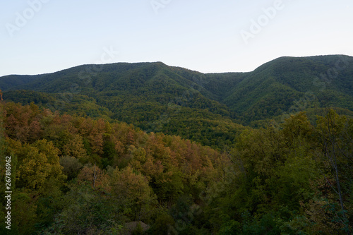 Big mountain covered with trees against the blue sky. Beautiful mountain in the vicinity of Geledzhik, Russia © pridannikov