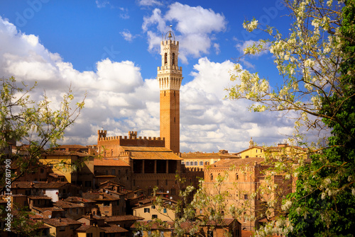 Siena tower from behind with cloudy sky