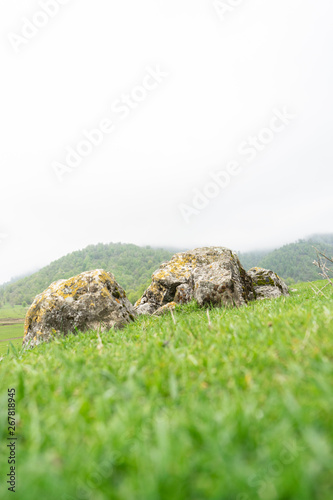 Landscape field with distant mountain İsmayilli Azerbaijan