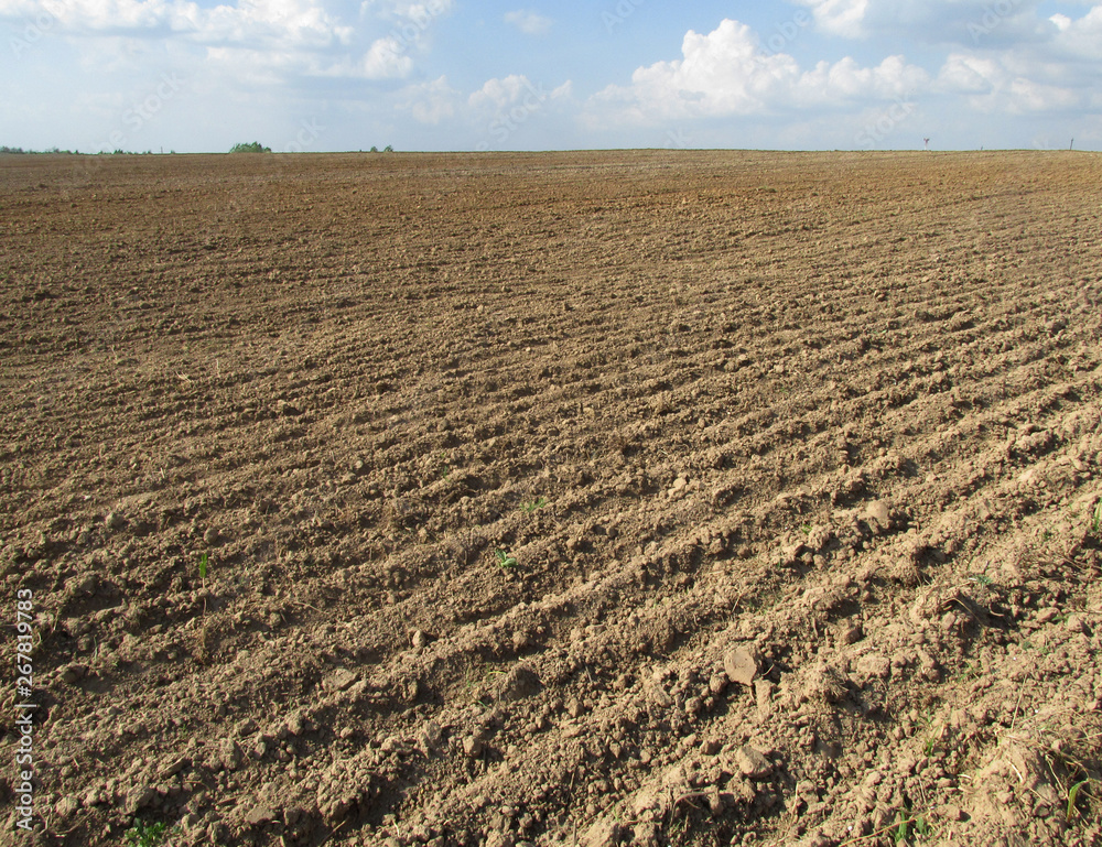 Plowed field without vegetation and springtime blue sky with clouds Plowed field without vegetation and springtime blue sky with clouds