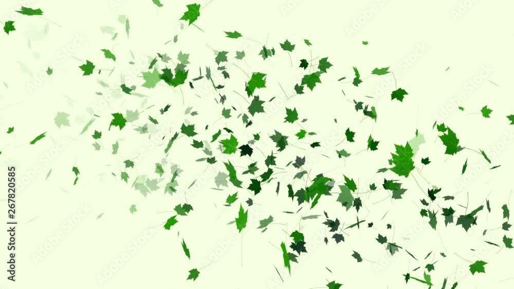 Green maple leaves flying on white background. Minimalistic elegant natural background. Flow of leaves, foliage. Stylish background.