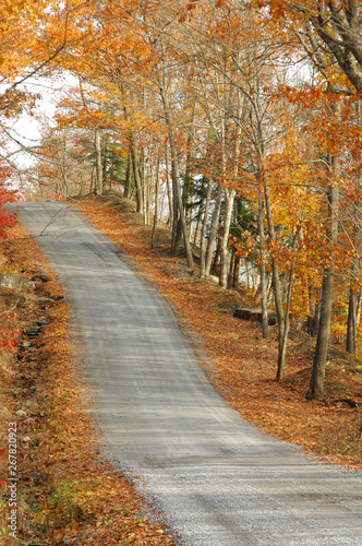 country road ascending through colorful autumn woods
