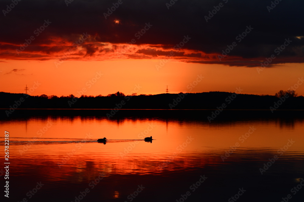 Sunset Sunrise Lake Orange Gold Ducks swimming water Silhouette