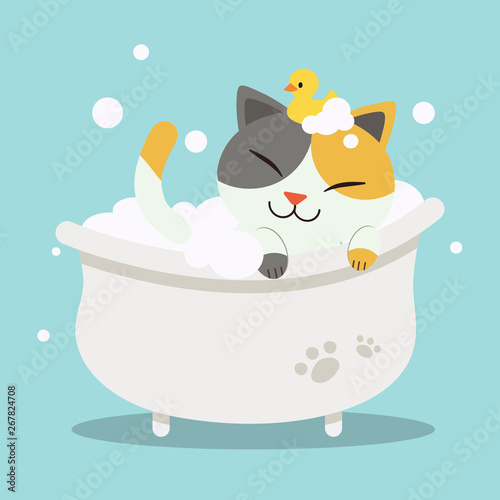 A Cute  character cartoon cat lying in the bathtub with duck toy.