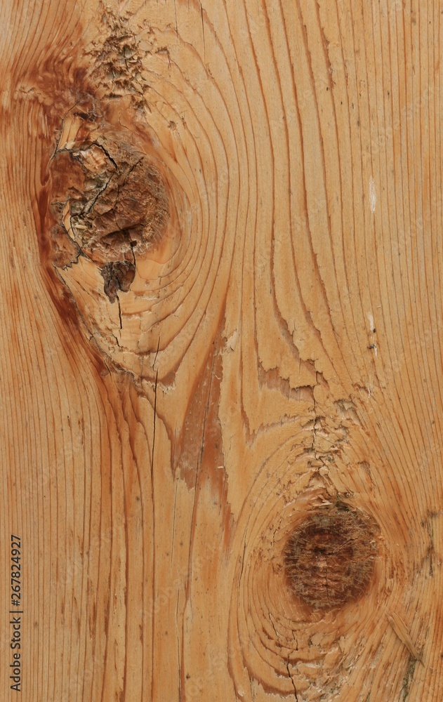 Fototapeta premium Cedar Plank Closeup