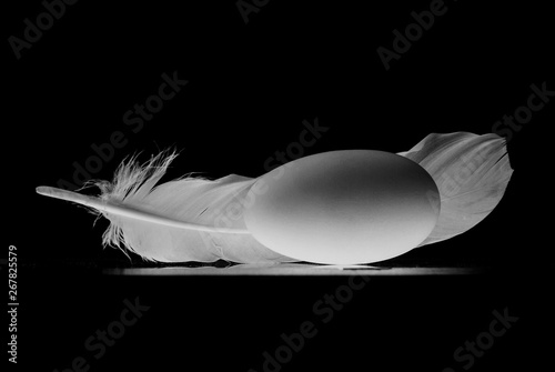 Egg and feather photo