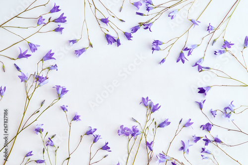Flat lay composition with blue flowers on a light background © maria_lh