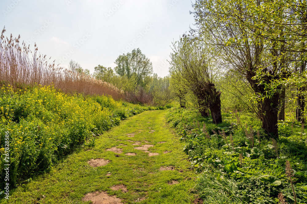 Curved path in a Dutch park in the spring season. Curved path in a Dutch park in the spring season.