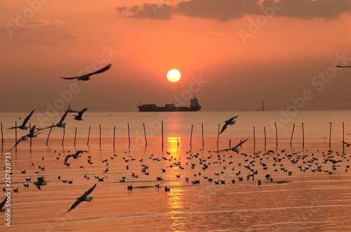 Seagull and sunset view at Bang Pu seaside, Thailand