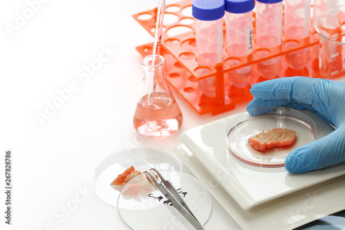 cultured meat image, lab grown meat concept