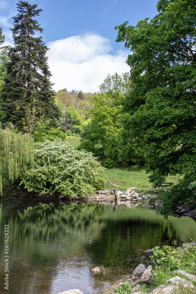 Small lake in forest park in Little Carpathians