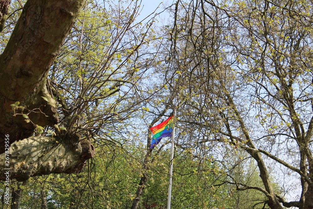 Rainbow flag on pole