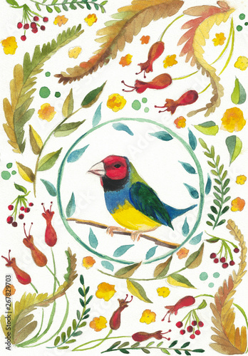  bright colorful exotic bird with flowers and plants