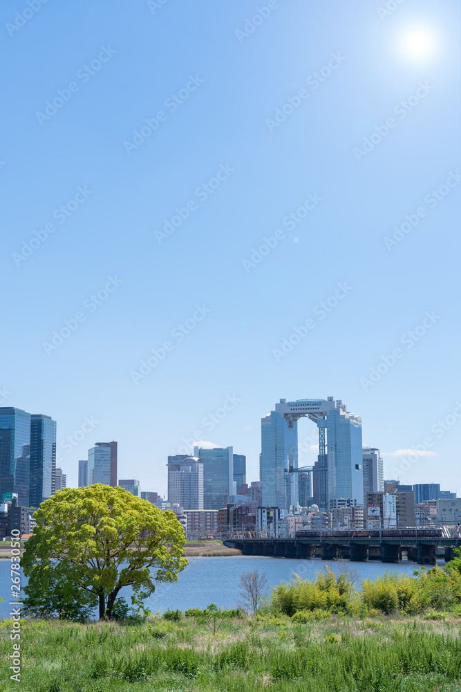 Fototapeta premium 梅田のビル群と自然