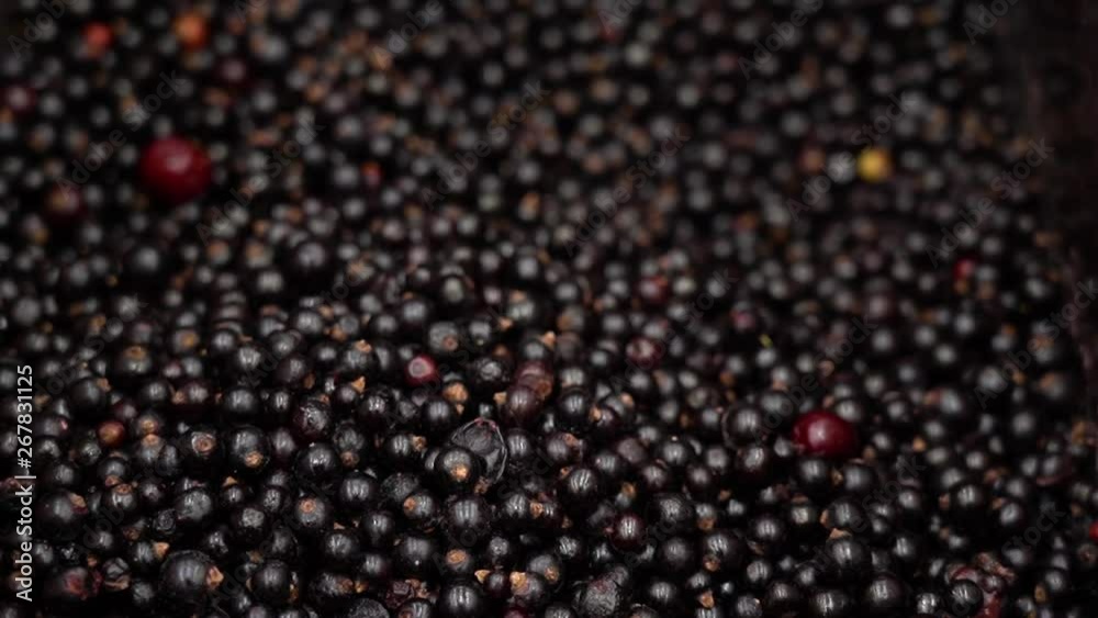 Frozen black berry in the refrigerator supermarket close up. Delicious wet harvested currants with beautiful light reflection in the store. Frozen black berry in the refrigerator supermarket close up. Delicious wet harvested currants with beautiful light reflection in the store.
