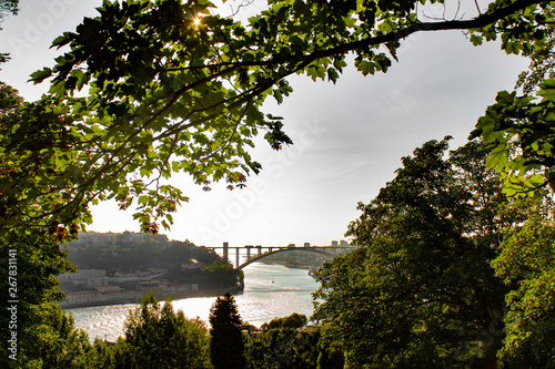 View over Arrabida bridge and Douro river from the gardens of the Crystal Palace in Porto  Portugal