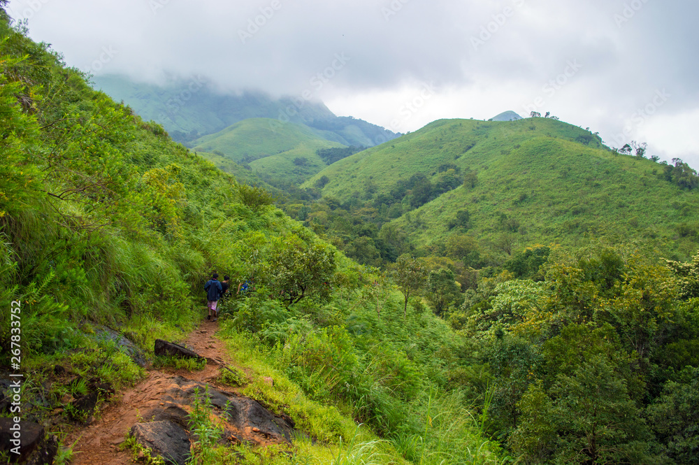 Naklejka premium Greenery of Kudremukh peak in Karnataka