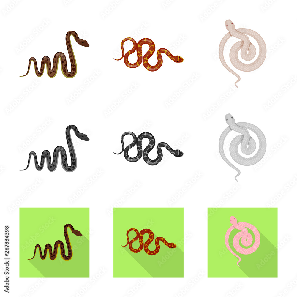 Vector illustration of mammal and danger logo. Set of mammal and medicine stock symbol for web. Vector illustration of mammal and danger logo. Set of mammal and medicine stock symbol for web.