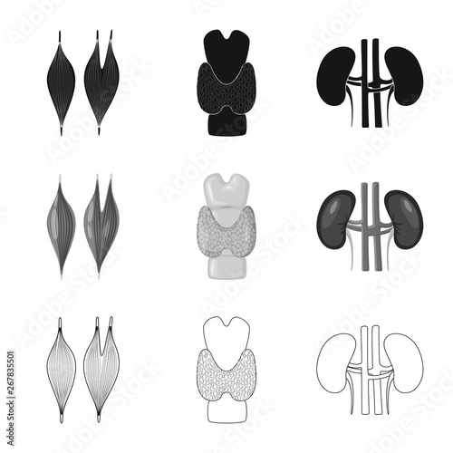 Vector illustration of biology and scientific sign. Set of biology and laboratory stock vector illustration.