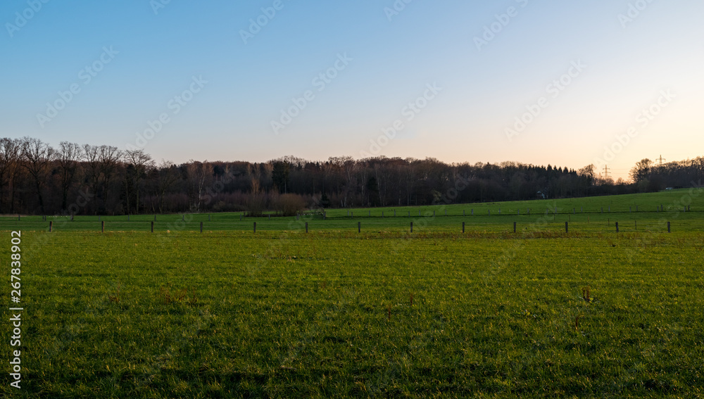 Wonderful view over field and forest at dusk, Essen, Germany