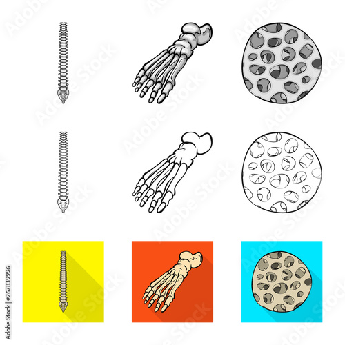 Vector illustration of medicine and clinic symbol. Collection of medicine and medical stock vector illustration.