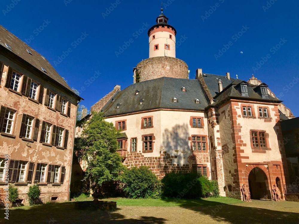 Schloss in Büdingen (Hessen)