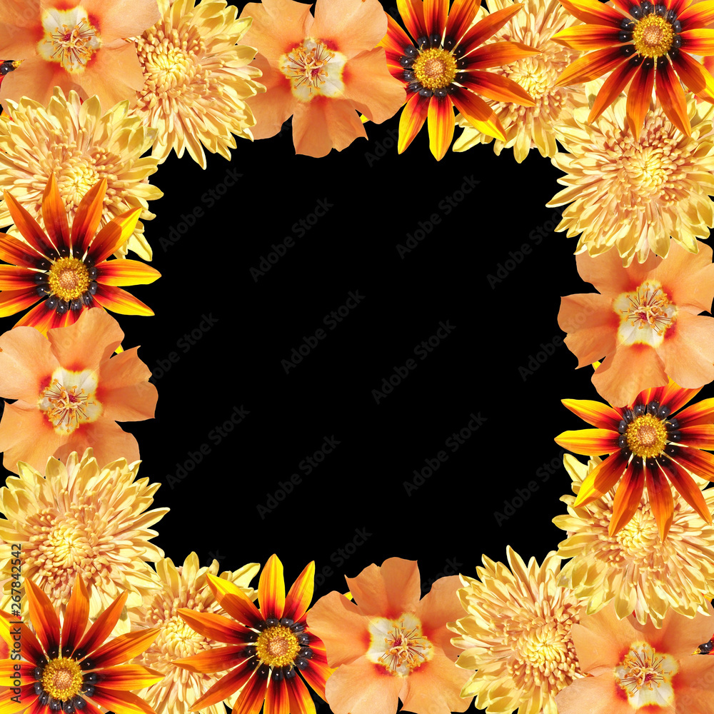 Obraz premium Beautiful floral background of orange flowers. Isolated