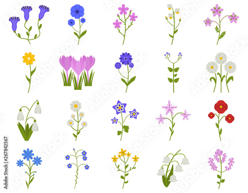 Wildflower icon set in flat style, Coronaries, cornflower, chamomile, daisy, etc., plants vector illustration