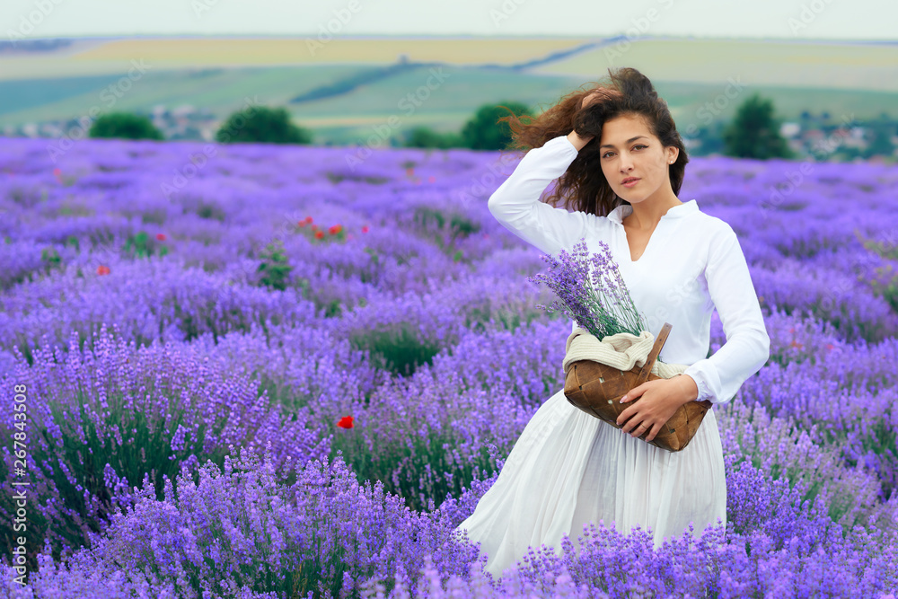 young woman is in the lavender flower field, beautiful summer landscape young woman is in the lavender flower field, beautiful summer landscape