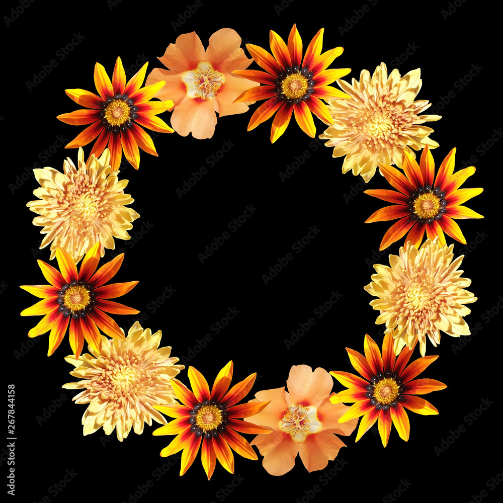 Obraz premium Beautiful floral circle of orange flowers. Isolated