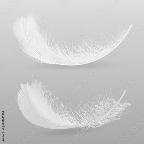 Birds flying or falling down white, fluffy feathers 3d realistic vector illustration isolated on grey background. Softness and fragility symbol. Tenderness and purity concept decorative design element