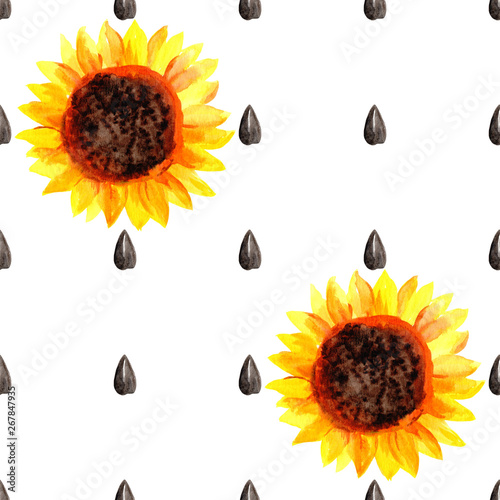 Watercolor seamless pattern with sunflowers and sunflower seeds in a row on a white background. Illustration. Harvest time.