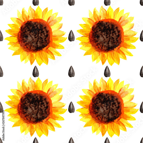Watercolor seamless pattern with sunflowers and sunflower seeds in a row on a white background. Illustration. Harvest time.